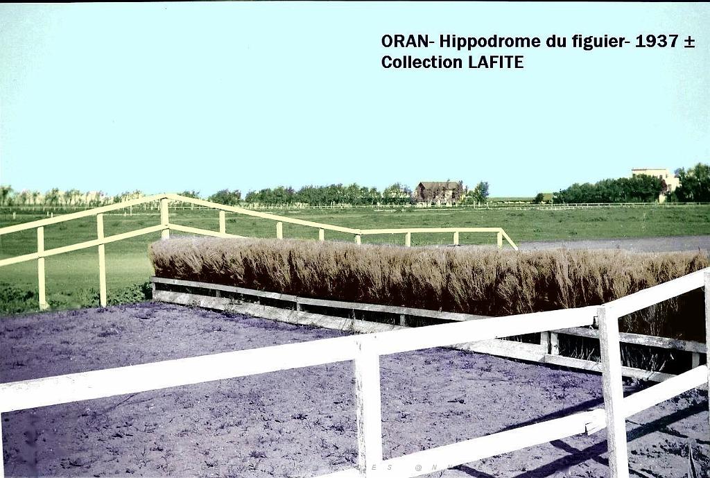 Oran- Le figuier 28a.jpg